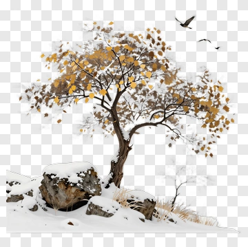 Snowy Tree With Autumn Leaves And Rocks PNG