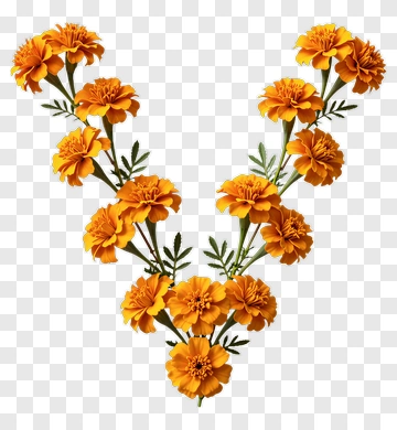 Marigold Flower Bouquet PNG