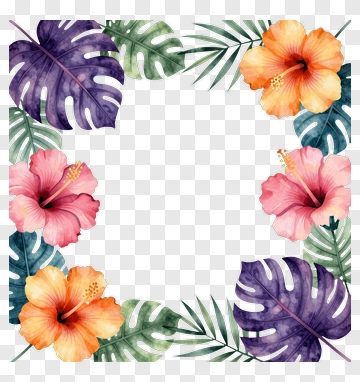 Colorful Floral Frame With Hibiscus And Leaves PNG