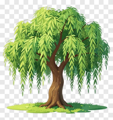 Colorful Willow Tree PNG