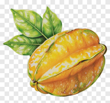 Starfruit With Green Leaves PNG