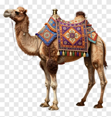 Decorative Camel With Colorful Saddle PNG