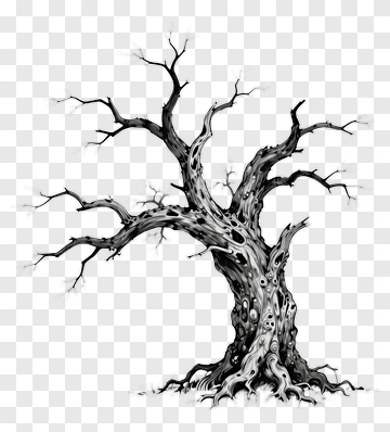 Black And White Gnarled Tree PNG