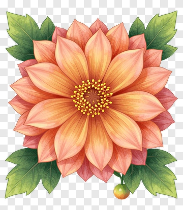 Colorful Flower With Green Leaves PNG