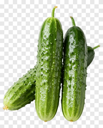 Fresh Cucumbers PNG