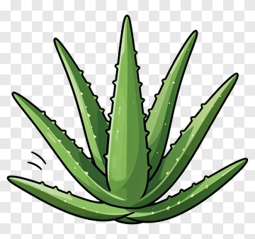 Cartoon Aloe Vera Plant PNG