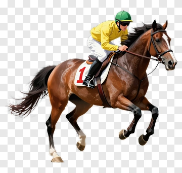 Jockey Riding A Racehorse PNG