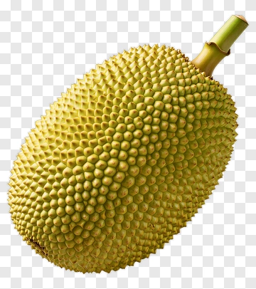 Durian Fruit PNG