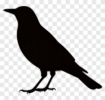 Silhouette Of A Bird PNG