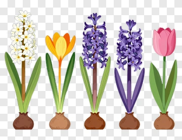 Colorful Flower Bouquet PNG