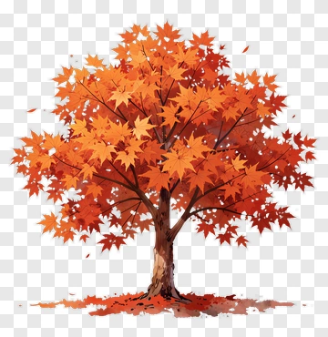 Colorful Maple Tree PNG