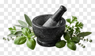 Mortar And Pestle With Fresh Herbs PNG