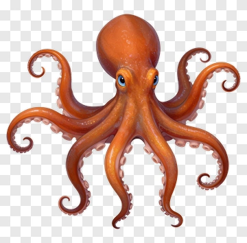 Cartoon Octopus PNG