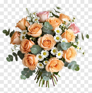 Peach Rose Bouquet With White Daisies PNG
