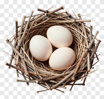 Nest With Three White Eggs PNG