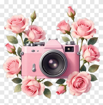Pink Camera Surrounded By Roses PNG