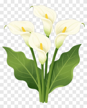 Flower Bouquet With Calla Lilies PNG