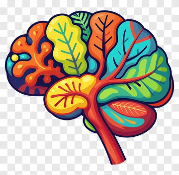 Colorful Brain With Leaves PNG
