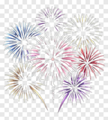 Colorful Fireworks Display PNG