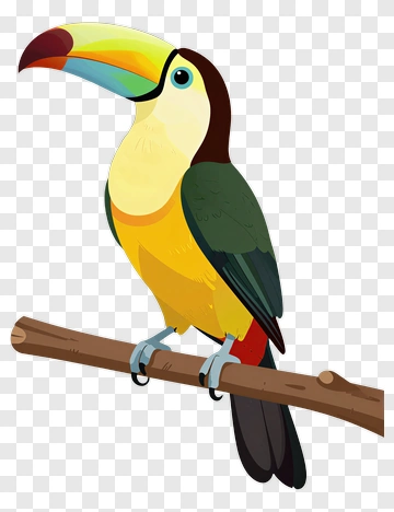 Colorful Toucan Sitting On A Branch PNG