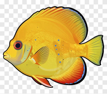Colorful Fish With Vibrant Fins PNG