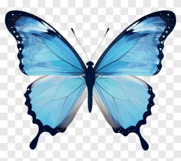 Blue Butterfly PNG