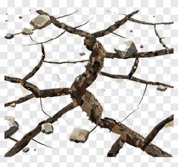 Cracked Ground With Rocks And Twigs PNG