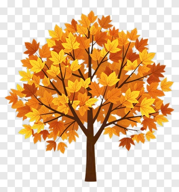 Colorful Tree With Autumn Leaves PNG