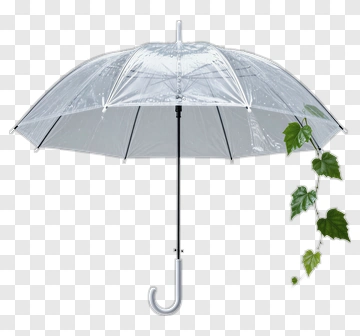 Transparent Umbrella With Green Leaves PNG