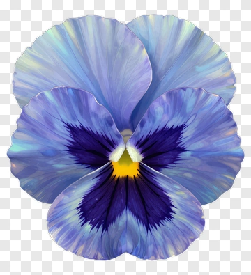 Blue Pansy Flower PNG