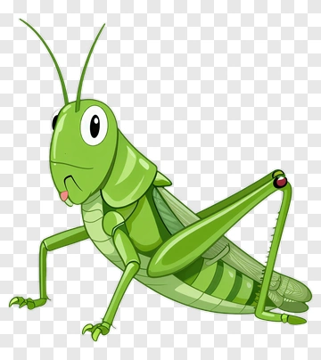 Cartoon Grasshopper PNG