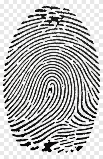 Fingerprint Pattern PNG