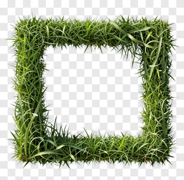 Grass Frame PNG