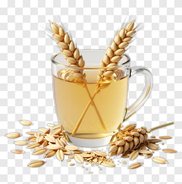 Glass Of Oat Drink With Wheat Stalks PNG