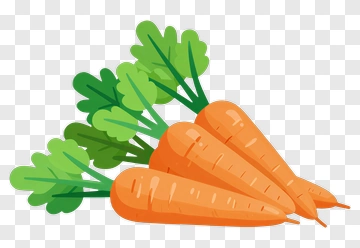 Bunch Of Fresh Carrots PNG
