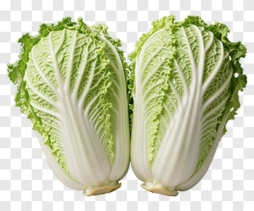 Fresh Napa Cabbage Halves PNG