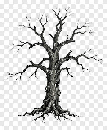 Barren Tree With Twisted Branches PNG