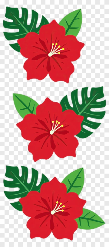 Colorful Hibiscus Flowers With Green Leaves PNG