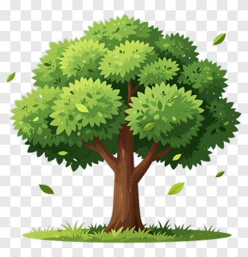 Colorful Tree PNG