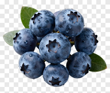 Fresh Blueberries With Leaves PNG