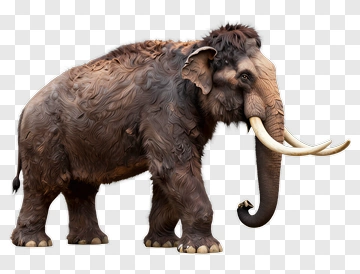 3D Mammoth With Large Tusks PNG