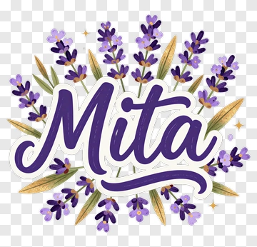 Lavender Floral Design With The Name Mita PNG