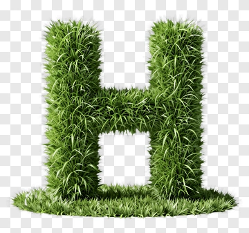 Grass Letter H PNG