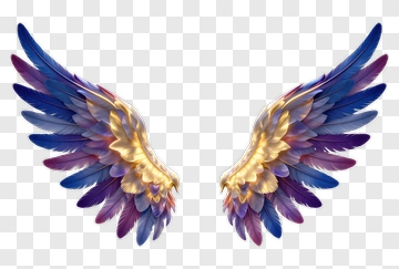 Colorful Angel Wings PNG