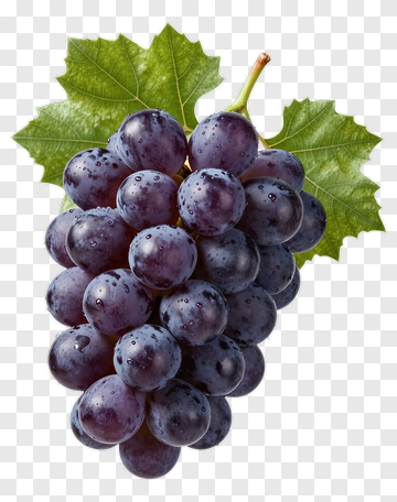 Bunch Of Fresh Purple Grapes PNG