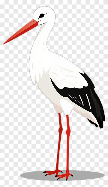 Cartoon Stork Standing PNG