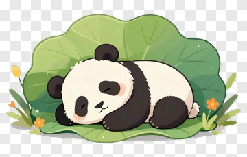 Cartoon Panda Sleeping On A Leaf PNG