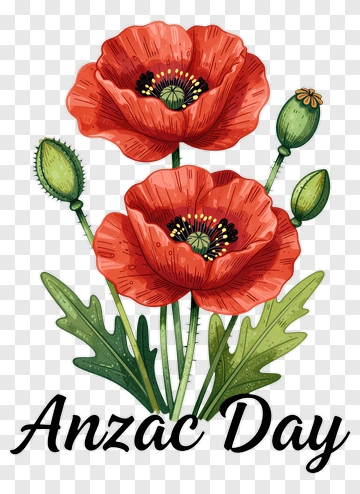 Red Poppies For Anzac Day PNG