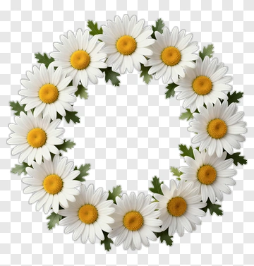 Daisy Flower Wreath PNG