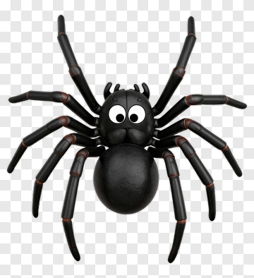 Cartoon Spider With Big Eyes PNG